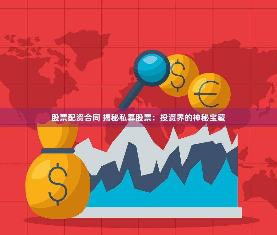 股票配资合同 揭秘私募股票：投资界的神秘宝藏